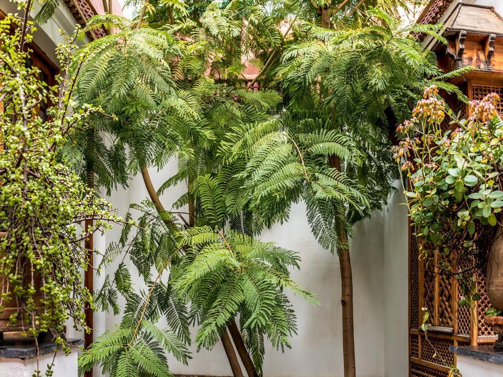Riad Les Trois Cours Маракеш Екстериор снимка
